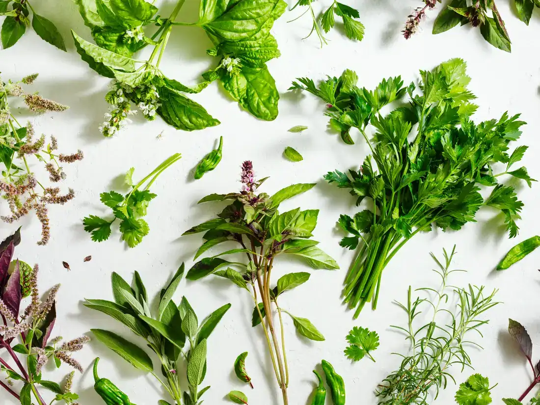 Fresh basil, parsley, sage, rosemary, mint and cilantro on a white table
